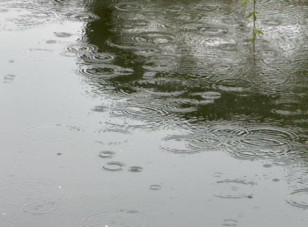 北京今天阴有轻雾，午后局地有雷阵雨，最高气温34℃